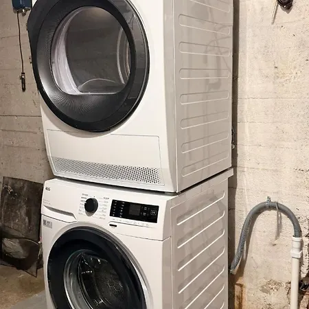 On The Edge Of The Woods