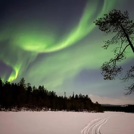 On The Edge Of The Woods