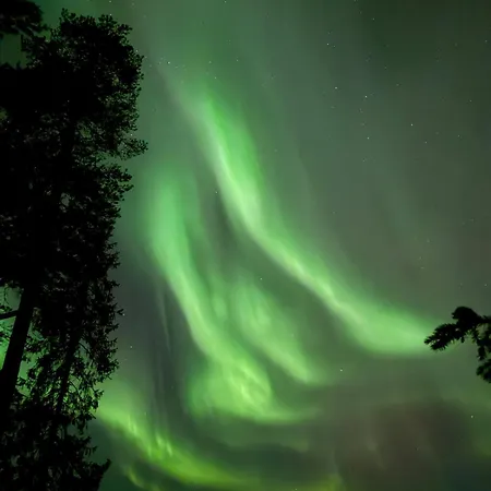 On The Edge Of The Woods