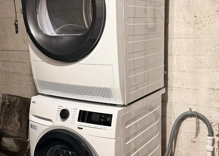 On The Edge Of The Woods