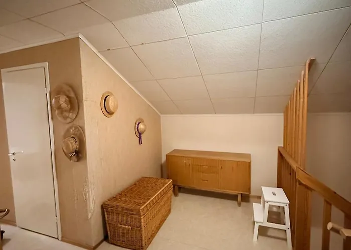 Appartement On The Edge Of The Woods *