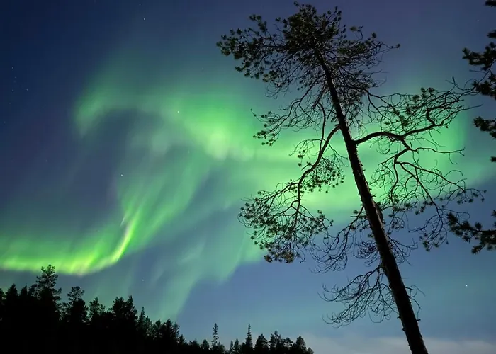 Appartement On The Edge Of The Woods *