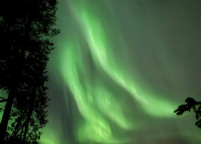 On The Edge Of The Woods